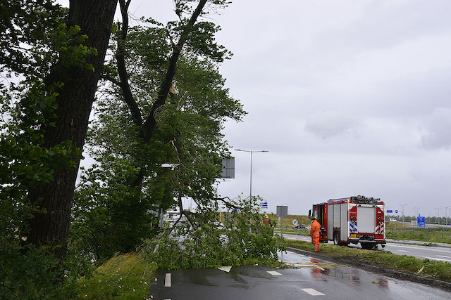 2023/114/20230705-10u33 GB 001 Stormschade Schipholweg BHD-west.jpg